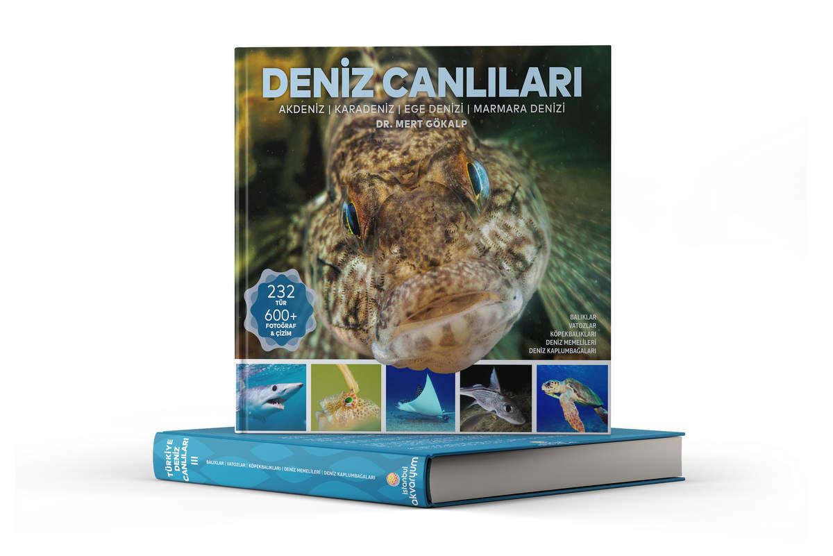 “Deniz Canlıları”  kitabı çıktı!